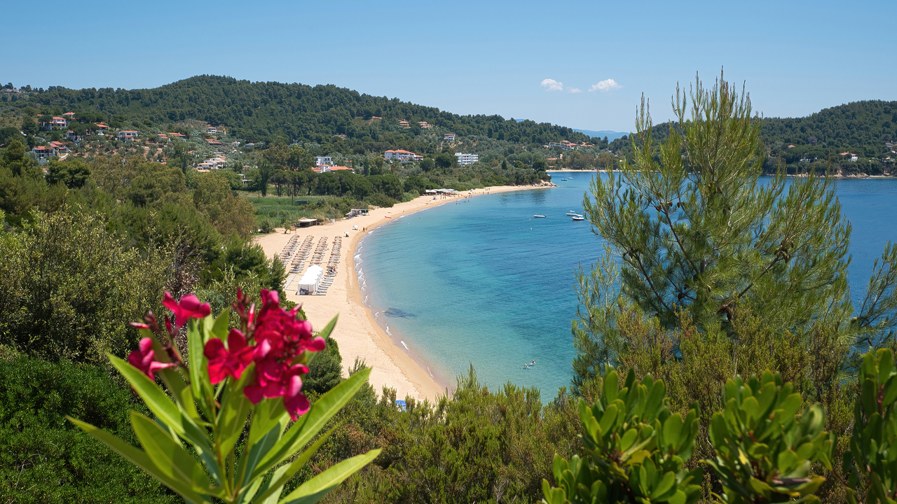 Apartments in Agia Paraskevi Skiathos